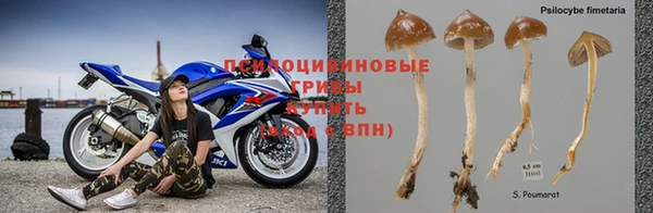 МДМА Богородицк