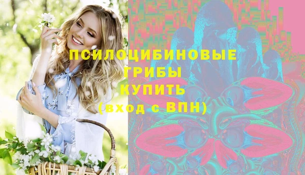 МДМА Богородицк