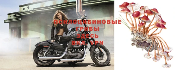 прущая мука Бронницы