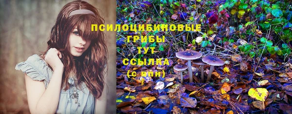 герыч Богородск