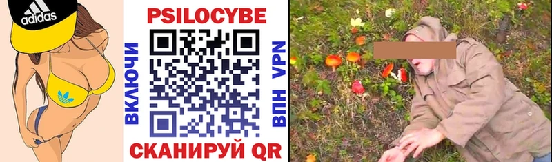 магазин продажи   Клин  Галлюциногенные грибы Psilocybine cubensis 